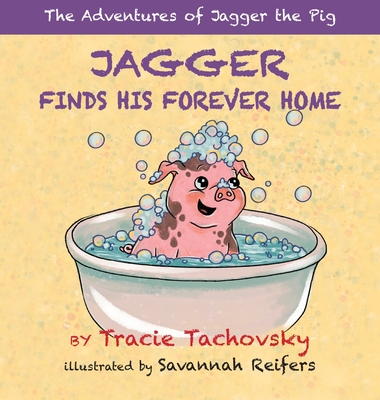 Jagger the Pig Finds His Forever Home - Tachovsky, Tracie