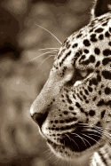 Jaguar: Notebook