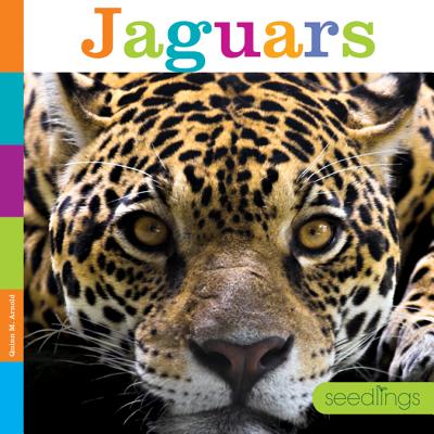 Jaguars - Arnold, Quinn M