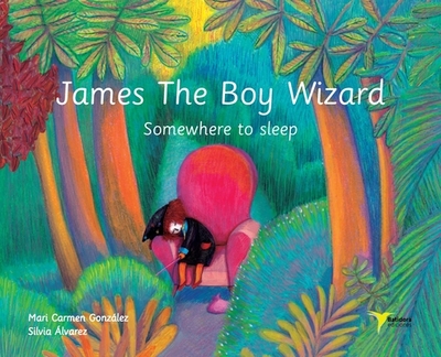 James The Boy Wizard: Somewhere to sleep - Gonzalez, Mari Carmen, and Forbes, Jenny (Translated by)