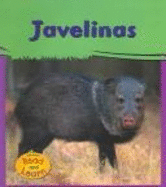 Javelinas