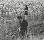 Jesu/Sun Kil Moon