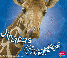 Jirafas/Giraffes