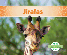 Jirafas (Giraffes)