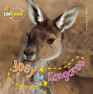 Joey to Kangaroo