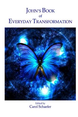 John's Book of Everyday Transformation - Schaefer, Carol