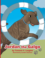 Jordan the Galgo
