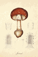 Journal: Amanita Muscaria - Vintage Antique Mushroom Botanical Illustration 120 Blank Lined 6x9 College Ruled Pages