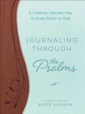 Journaling Through the Psalms: A Creative, Intimate Way to Grow Closer to God - Baker Publishing Group (Compiled by), and Larson, Susie (Introduction by)