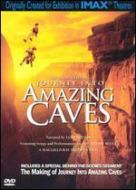 Journey Into Amazing Caves [2 Discs]