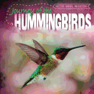 Journey of the Hummingbirds