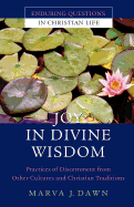 Joy in Divine Wisdom: Practices of Discernment from Other Cultures and Christian Traditions