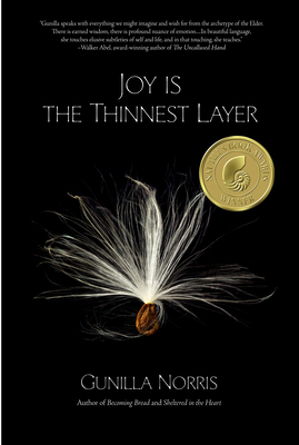 Joy Is the Thinnest Layer - Norris, Gunilla