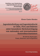 Jugendstrafvollzug und Jugendstrafrecht in Chile, Peru und Bolivien unter besonderer Ber?cksichtigung von nationalen und internationalen Kontrollmechanismen: Rechtliche Regelungen, Praxis, Reformen und Perspektiven