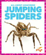 Jumping Spiders