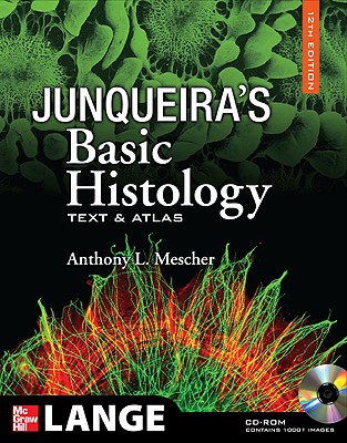 Junqueira's Basic Histology: Text and Atlas, 12th Edition: Text and Atlas - Mescher, Anthony L, and Mescher Anthony