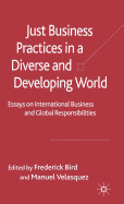 Just Business Practices in a Diverse and Developing World: Essays on International Business and Global Responsibilities