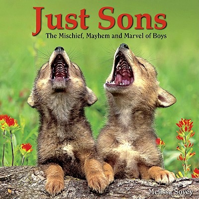 Just Sons: The Mischief, Mayhem and Marvel of Boys - Sovey, Melissa