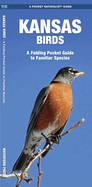 Kansas Birds: A Folding Pocket Guide to Familiar Species