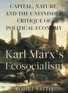 Karl Marx? (Tm)S Ecosocialism: Capital, Nature, and the Unfinished Critique of Political Economy