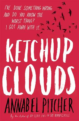 Ketchup Clouds - Pitcher, Annabel