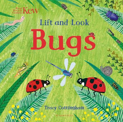 Kew: Lift and Look Bugs - Cottingham, Tracy (Illustrator)