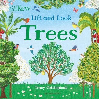 Kew: Lift and Look Trees - 