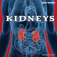 Kidneys