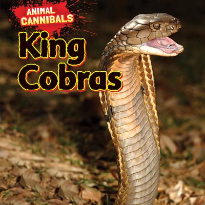 King Cobras - Hesper, Sam