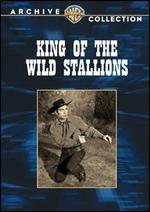 King of the Wild Stallions - R. G. Springsteen