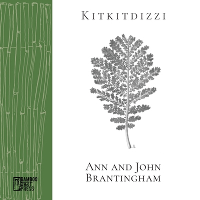 Kitkitdizzi: A Non-Linear Memoir of the High Sierra - Brantingham, John, and Brantingham, Ann