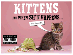 Kittens for When Sh*t Happens