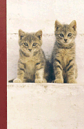 Kittens in the Sun Journal