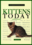 Kittens Today