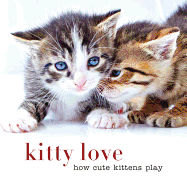 Kitty Love: How Cute Kittens Play