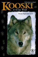 Kooski: A Gray Wolf