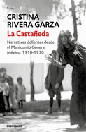 La Castaeda. Narrativas Dolientes Desde El Manicomio General M?xico, 1910-1930 / La Castaeda. Insane Asylum