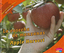 La Cosecha de Manzanas/Apple Harvest