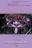 La Gruta de las Orqudeas