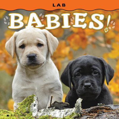 Lab Babies! - Lehmann, Steph