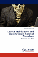 Labour Mobilization and Exploitation in Colonial Zimbabwe