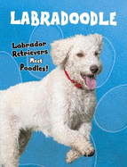 Labradoodle: Labrador Retrievers Meet Poodles!