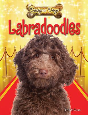 Labradoodles - Owen, Ruth