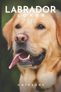 Labrador Lover Notebook: Cute fun labrador themed notebook: ideal gift for labrador lovers of all kinds: 120 page college ruled notebook