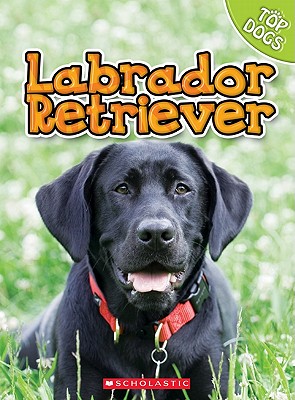 Labrador Retriever - George, Charles, and George, Linda