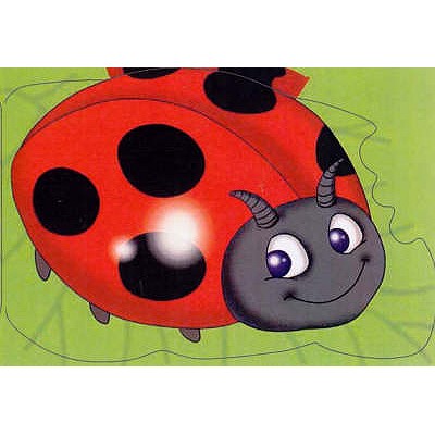 Ladybird: Chunky Animals - Massey, Kay