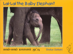 Lai Lai the Baby Elephant