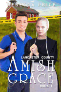 Lancaster County Amish Grace