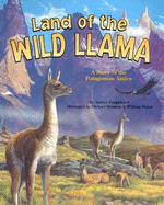 Land of the Wild Llama: A Story of the Patagonian Andes
