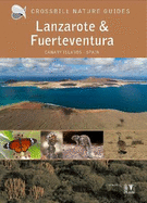 Lanzarote and Fuerteventura: Spain